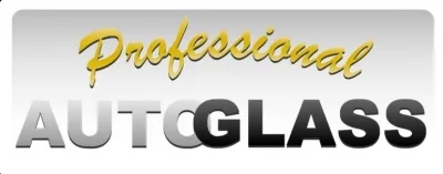PROFESSIONAL AUTO GLASS