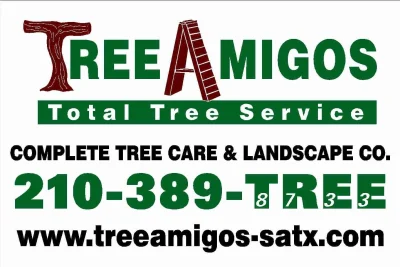 Tree Amigos Total Tree Service