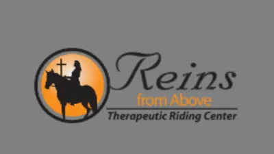 Reins From Above