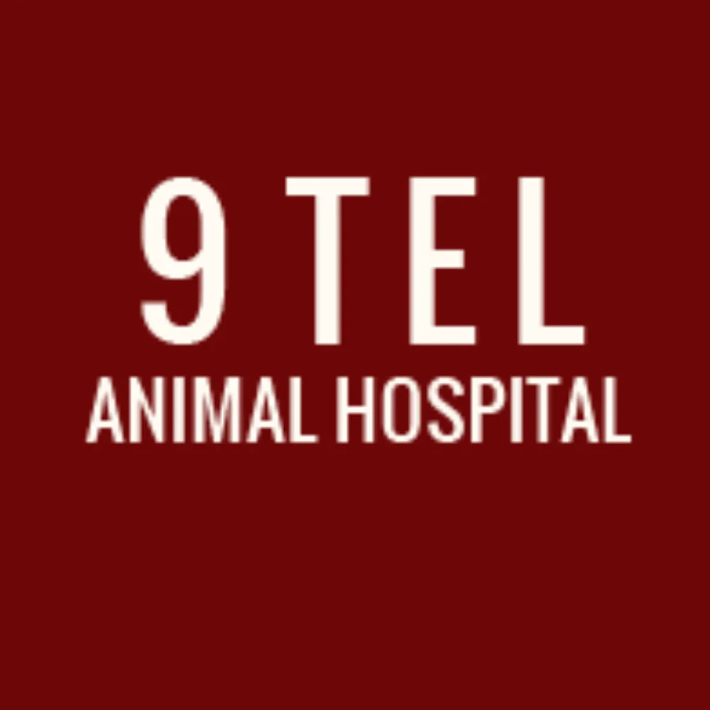 9 Tel Animal Hospital