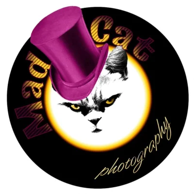 Mad Cat Art