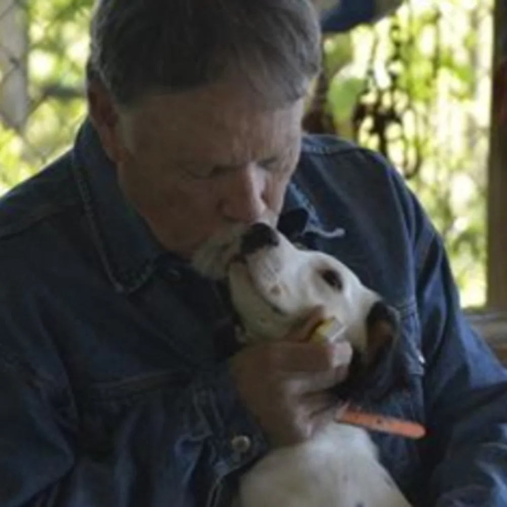 Gary Wilkes Training And Behavior Services