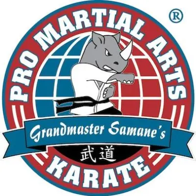 PRO Martial Arts - Naperville