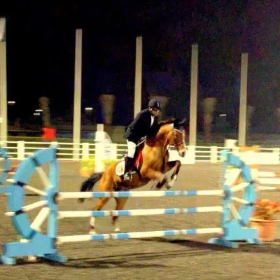 Horse Riding Lessons