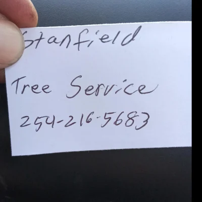 Stanfield Tree Service 