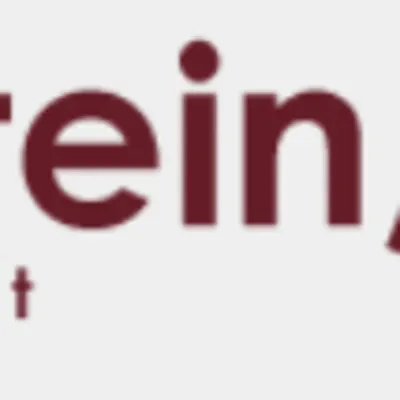 David A. Stein, CPA, P.A.