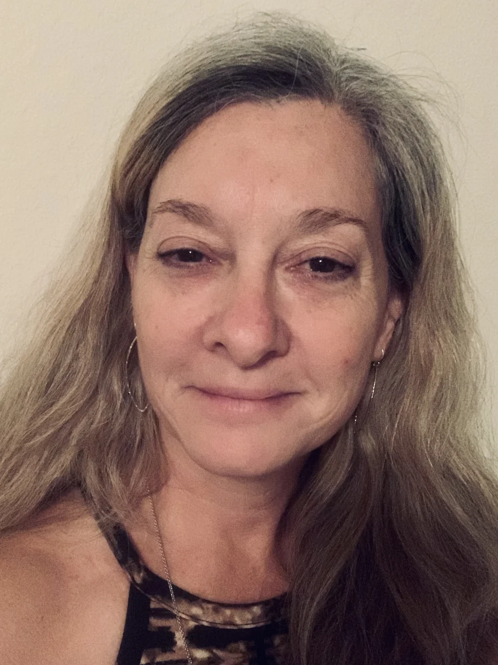 CZ Mentoring, LLC