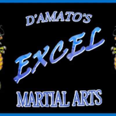 D'amato's Excel Martial Arts
