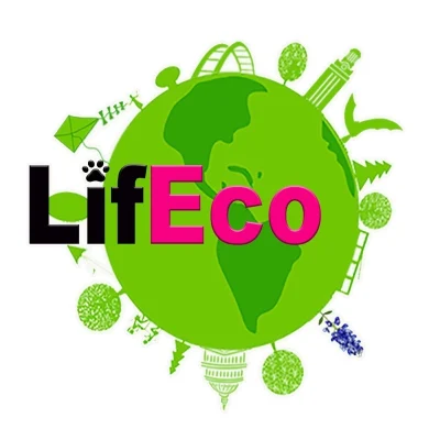LifEco Steam Clean