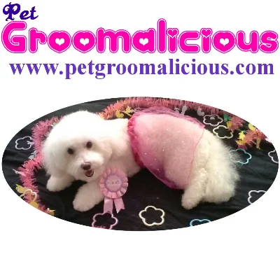 Pet Groomalicious