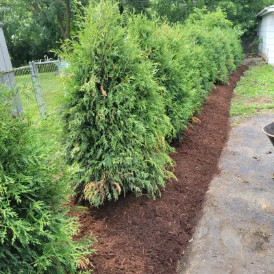 LUCIANO'S LANDSCAPING AND TREE SERVICE