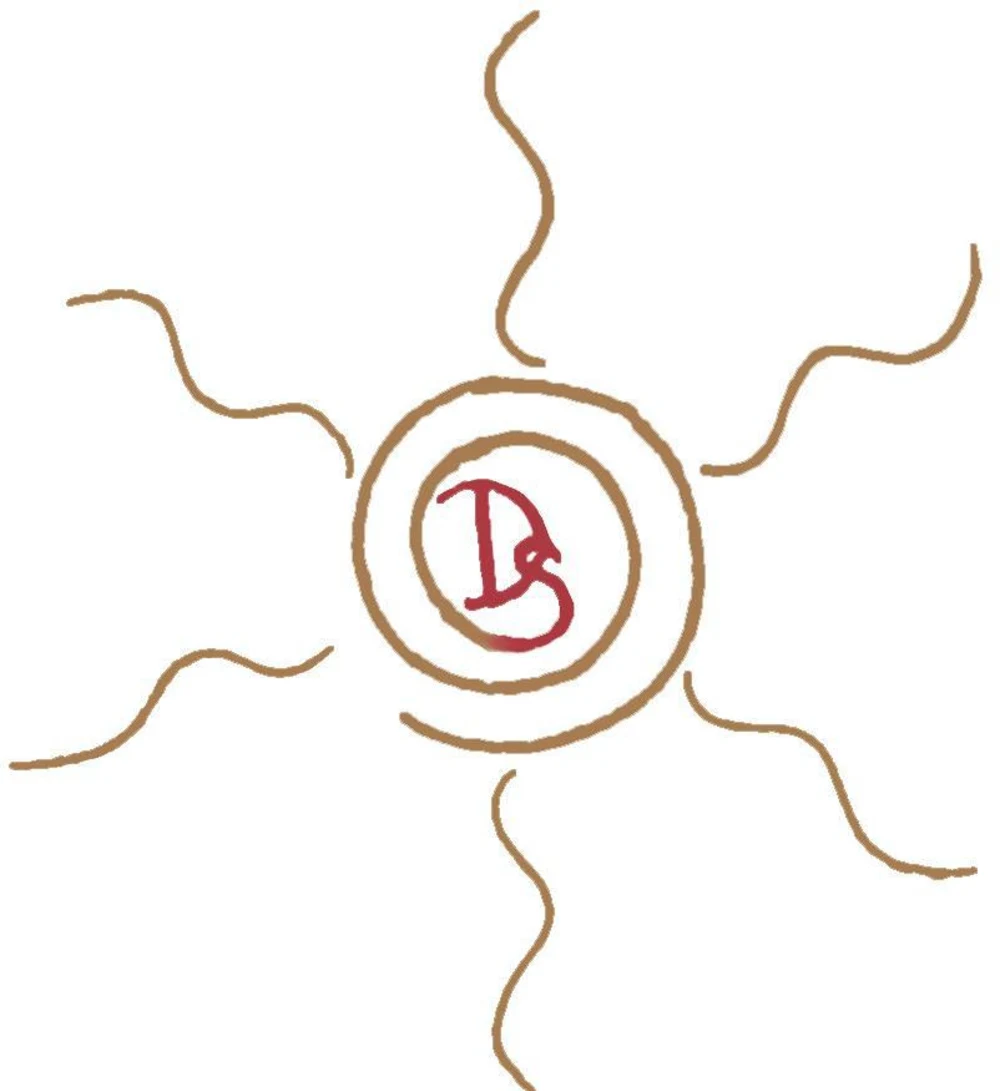 Desert Sun Training
