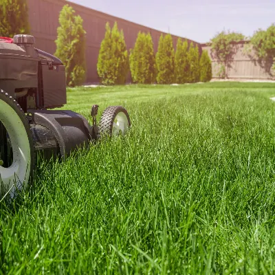A&B Landscaping LLC