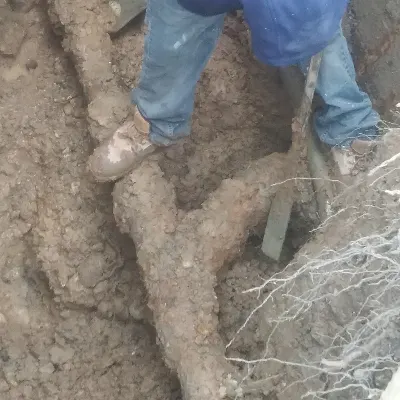 Waste And Water Plumbing