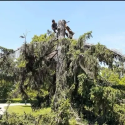 4 Seasons Tree Care -   Facebook