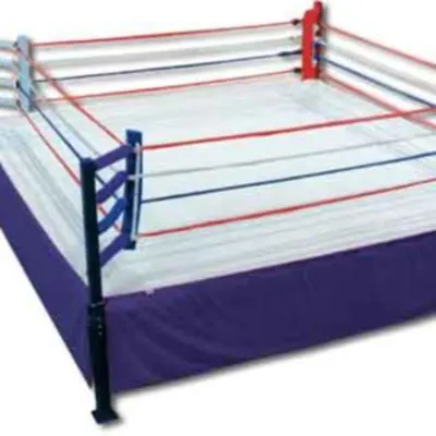 MMA Training