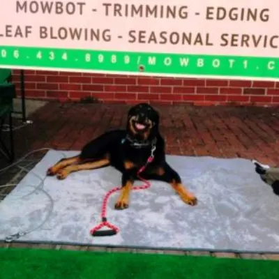 Mowbot Of Augusta