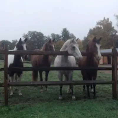 Seraphim Farm