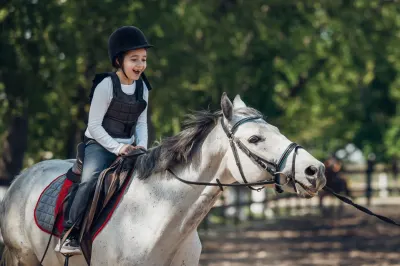 Rice's Horses