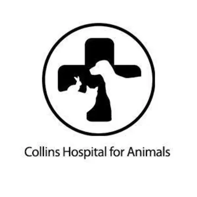 Collins Hospital For Animals