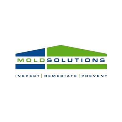 Mold Solutions