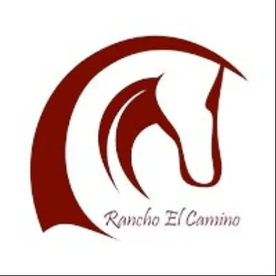 Rancho El Camino Equestrian - Horse Boarding And Lessons