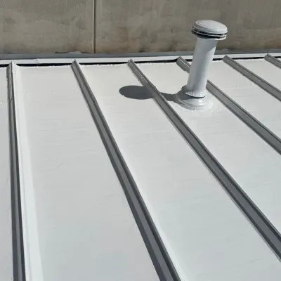 Mario Roofing