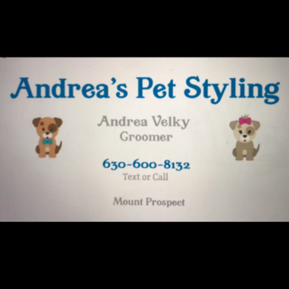 Andrea's Pet Styling