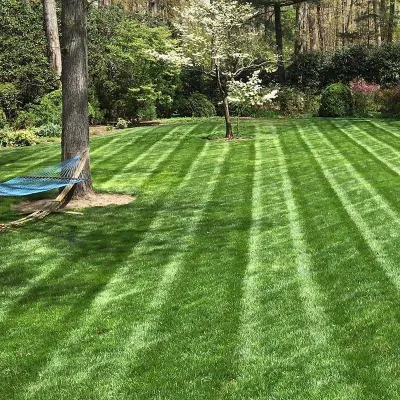 Branch Boys Landscaping