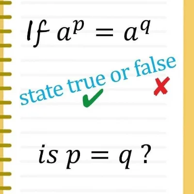 Curriculum Math Tutoring