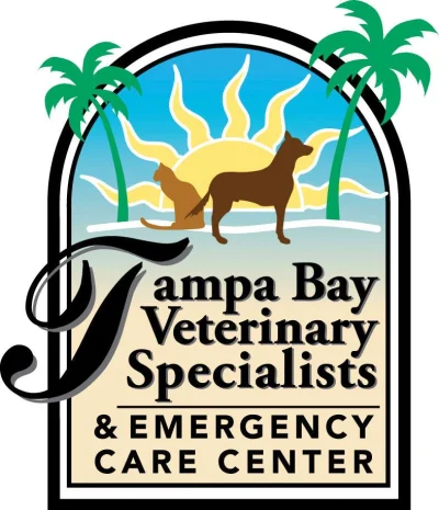 Tampa Bay Veterinary Specialists And Emergency Care Center
