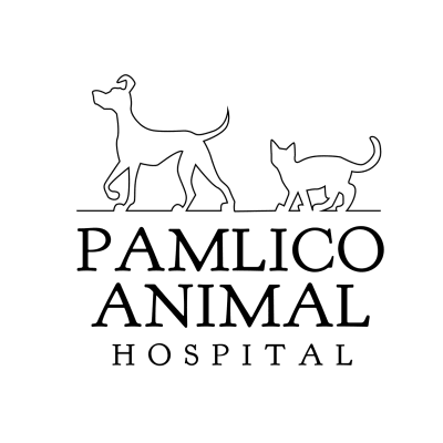 Pamlico Animal Hospital