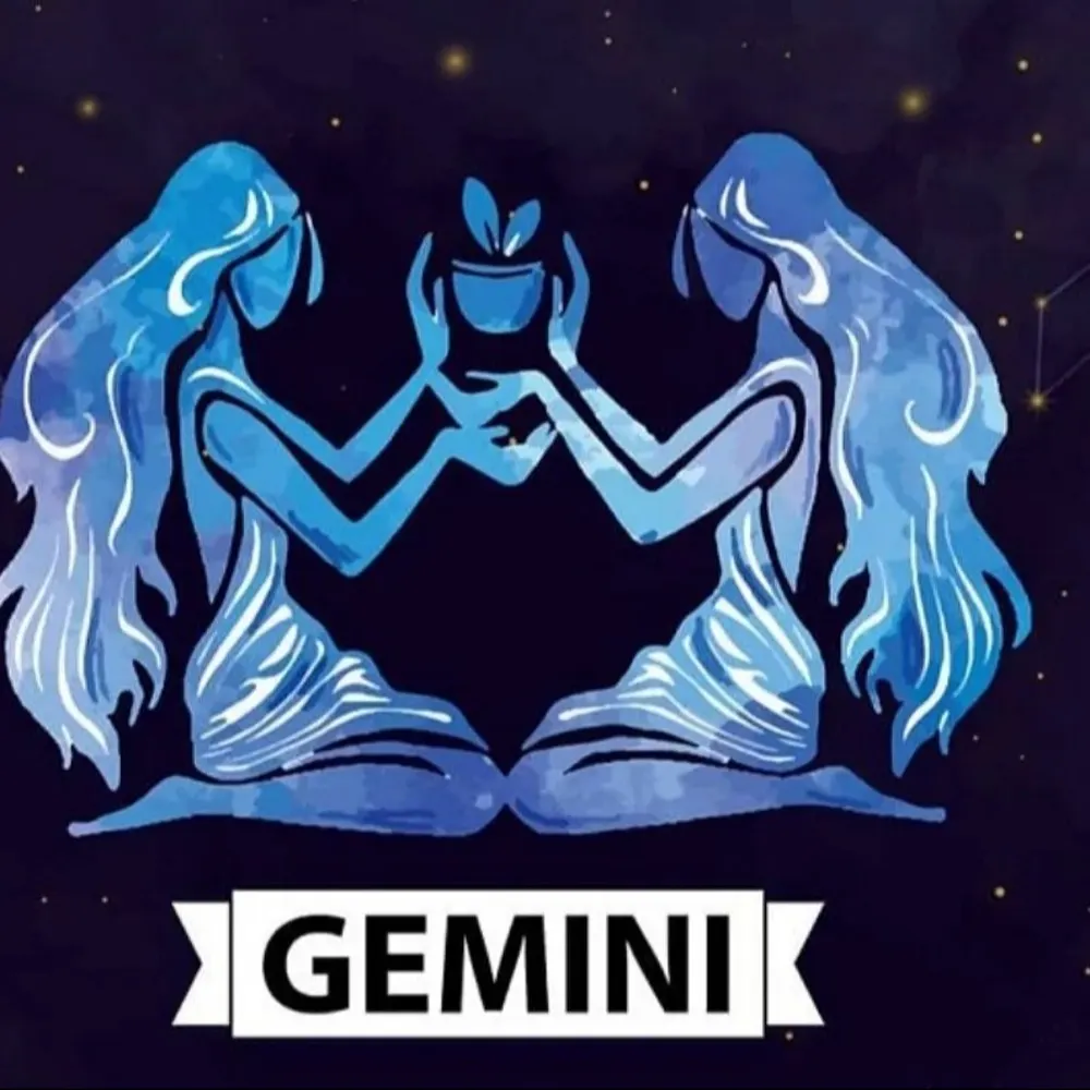 Gemini's Cleaning Services