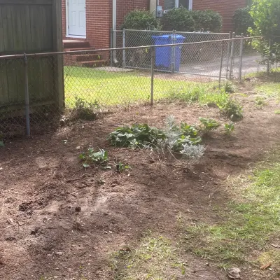 Maeshalls Lawn Care