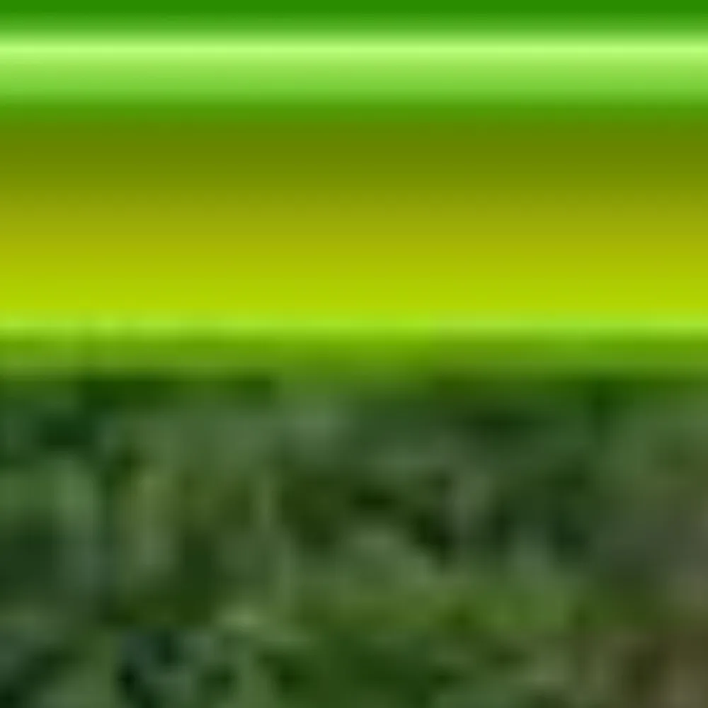 Meza’s Landscaping & More