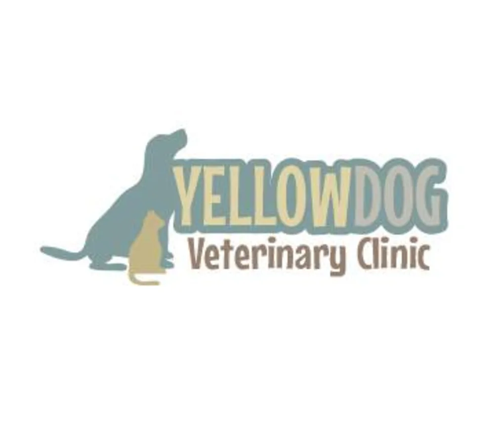 Yellow Dog Veterinary Clinic