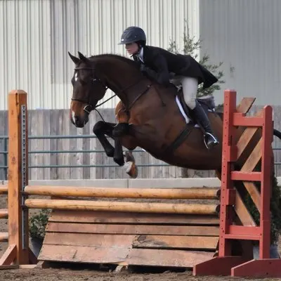 Pyramid Sport Horses