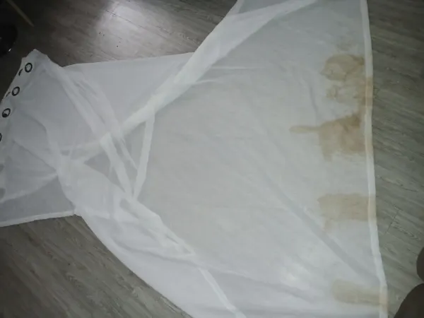curtain washing / Before