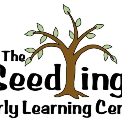 The Seedlings Early Learning Center Inc