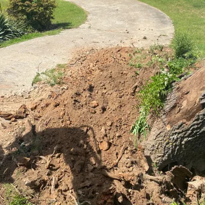 Precise Landscaping And More LLC