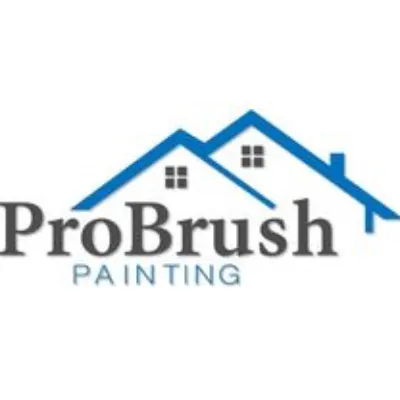 Pro Brush Painting