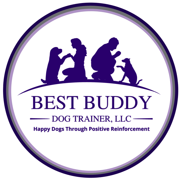 Best Buddy DT Logo