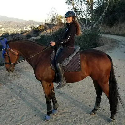 Riding Lessons Burbank