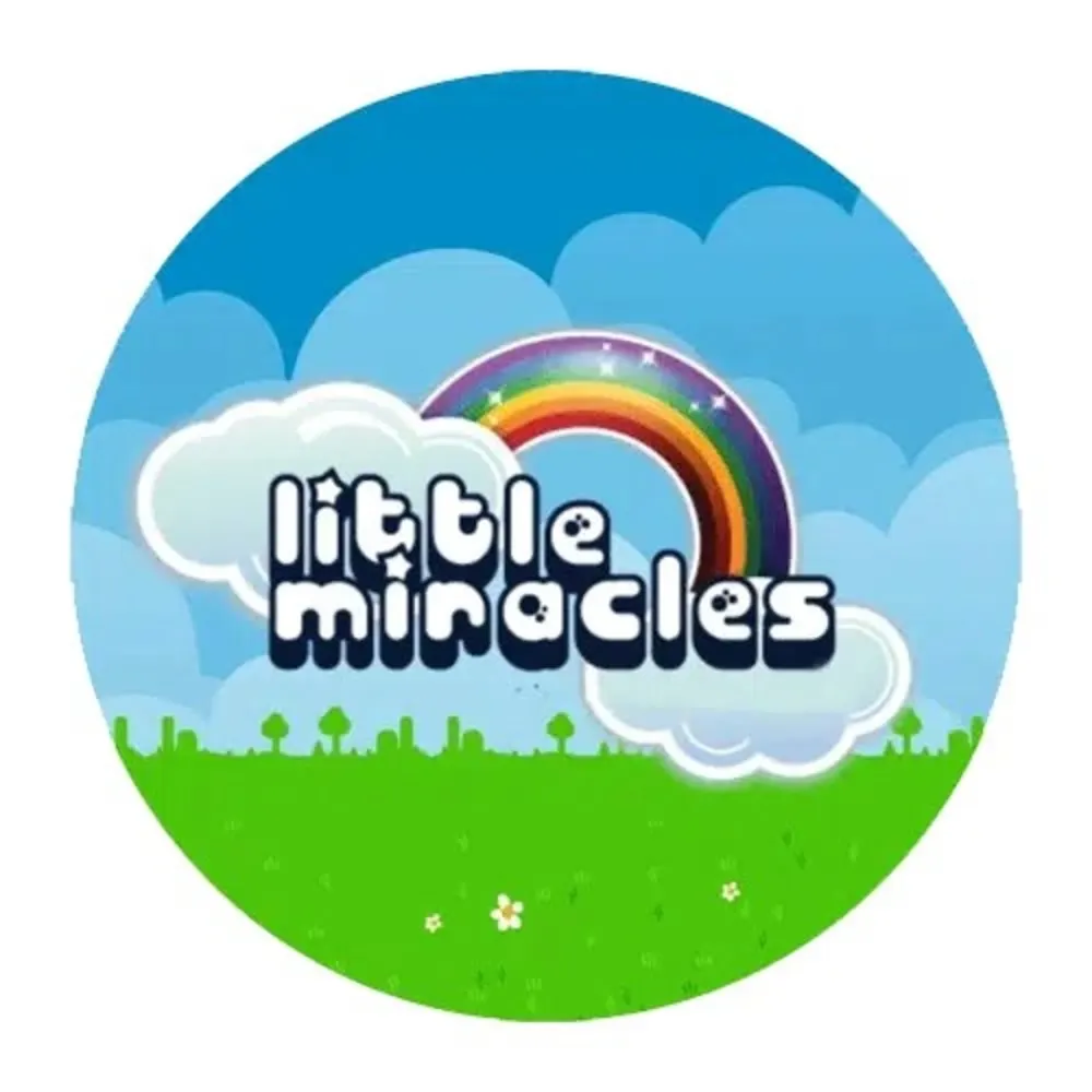 Little Miracles Child Care And Educational Center