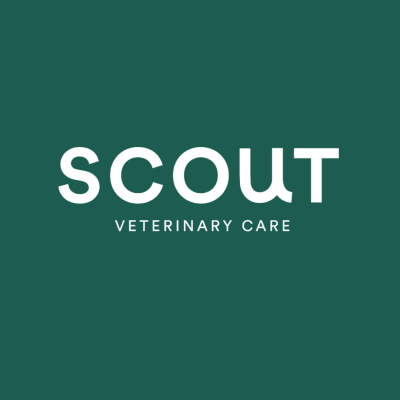 Scout Veterinary Care