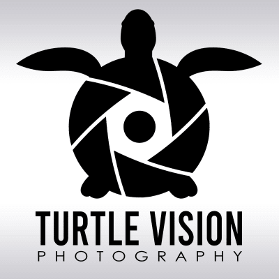 Turtle Vision Photography
