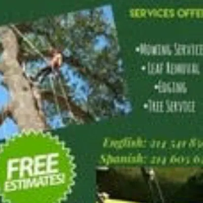 BM Tree Service And Landscaping