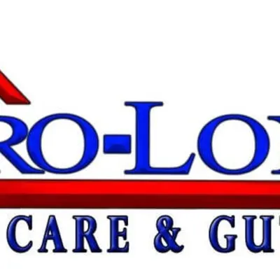 Pro-Long Roof Care & Gutters Inc