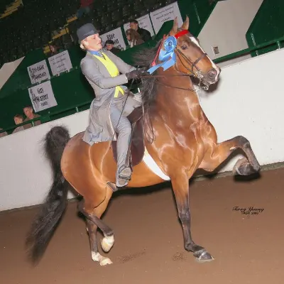 Cary Bartz Valiant Stables And School Of Horsemanship