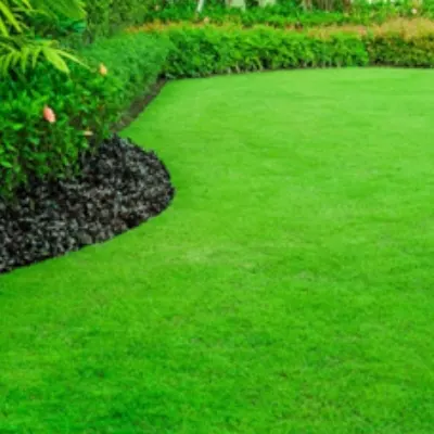 S&f Lawncare & Landscape